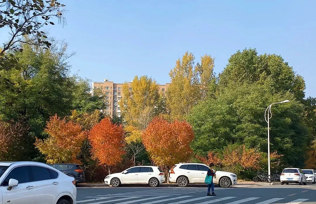 如何在比赛中发现和发展球员潜力_0